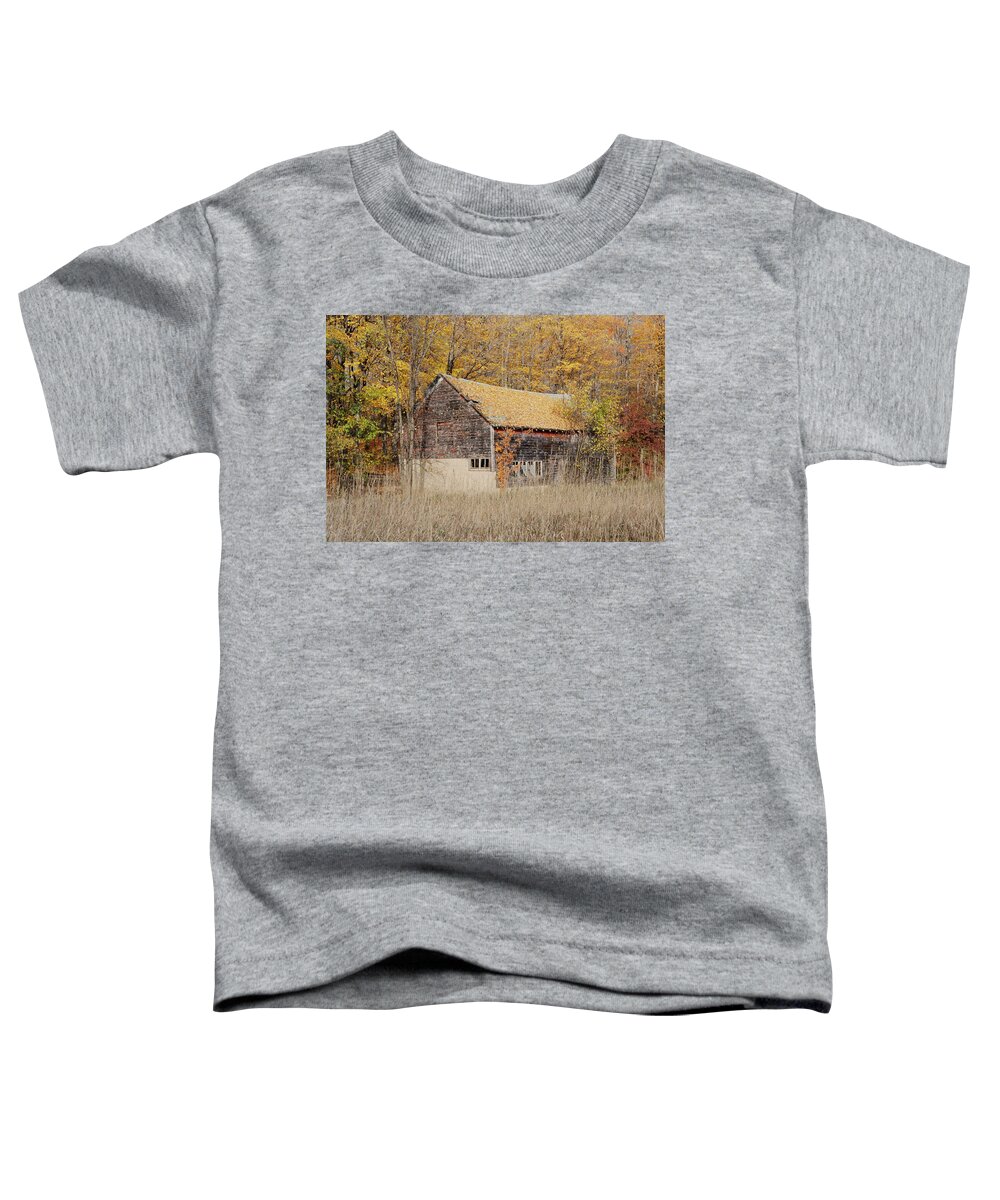 Barn Toddler T-Shirt featuring the photograph Barn With Autumn Leaves by Ron Weathers
