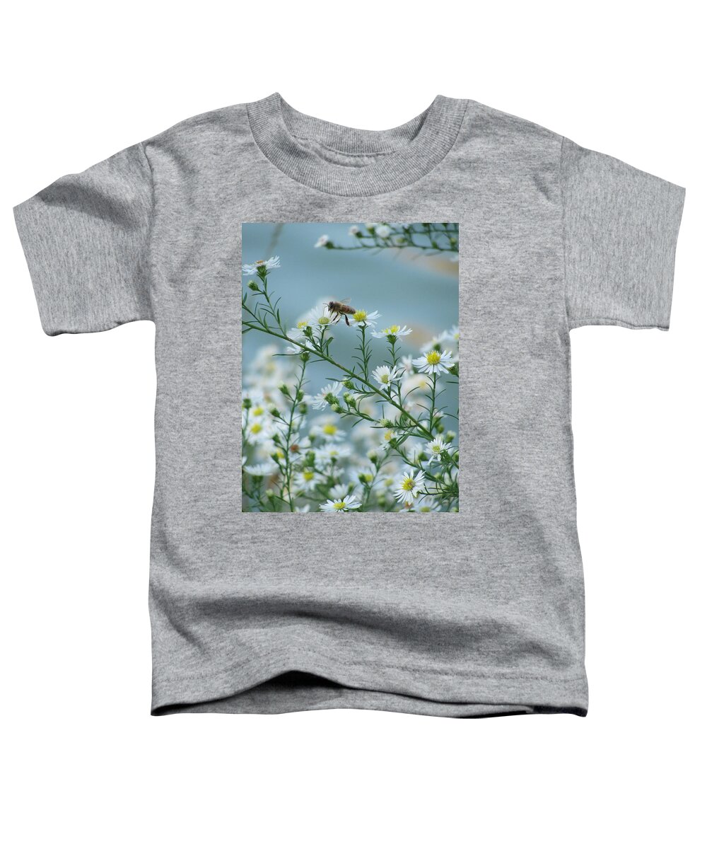 Bee Toddler T-Shirt featuring the photograph Bee 1 by Anita Burgermeister