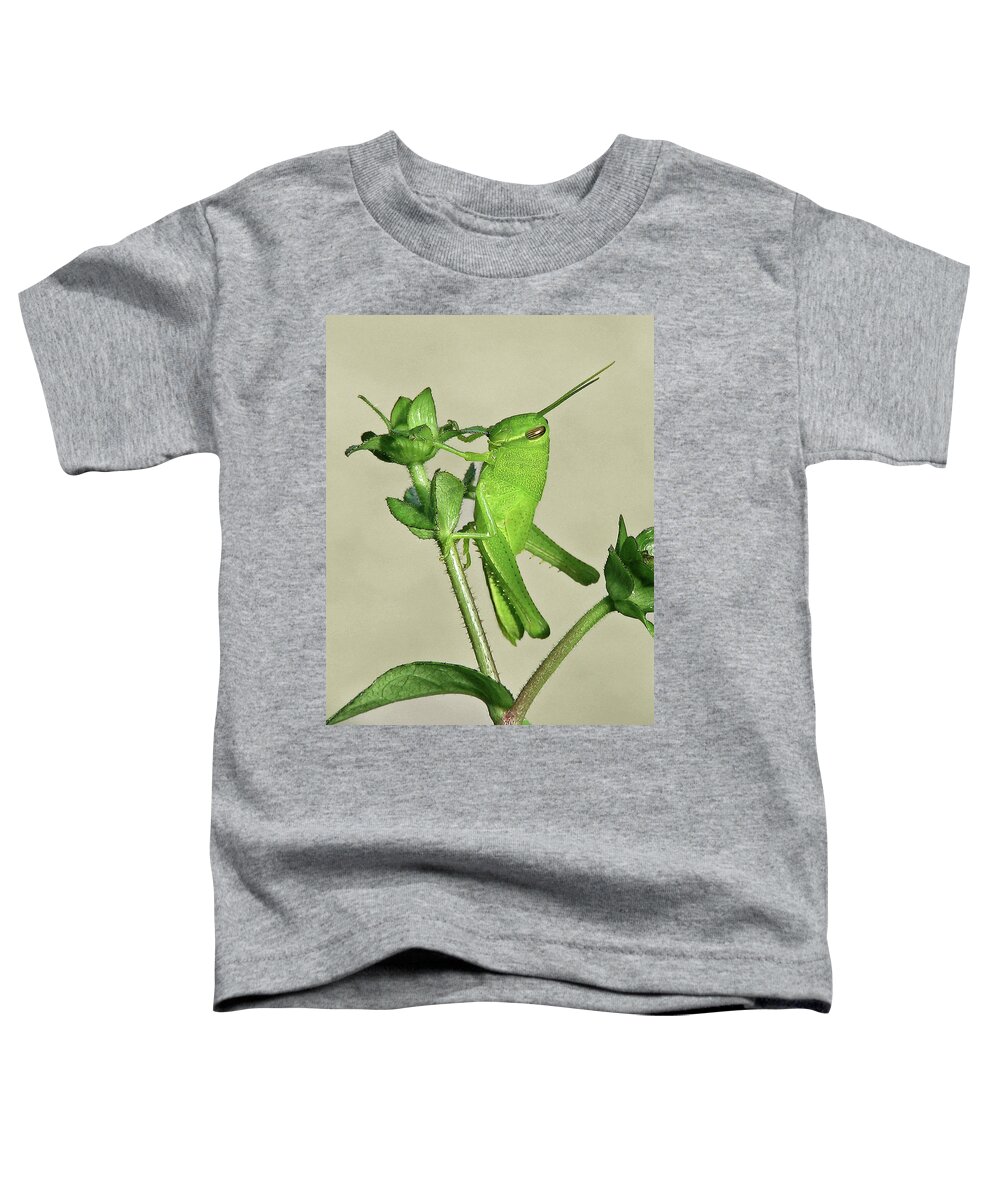 Nature Toddler T-Shirt featuring the photograph Bird Grasshopper Nymph by Peggy Urban