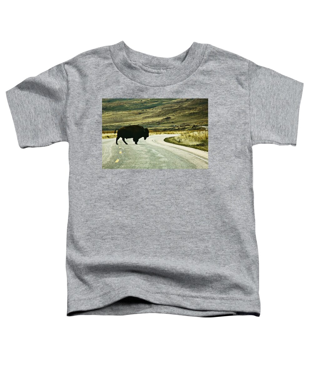 Utah Toddler T-Shirt featuring the photograph Bison crossing Highway by Marilyn Hunt