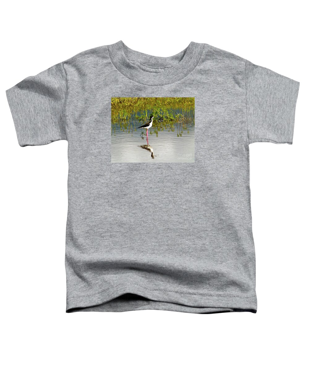 Fine Art Photography Toddler T-Shirt featuring the photograph Black-Necked Stilt II by Patricia Griffin Brett
