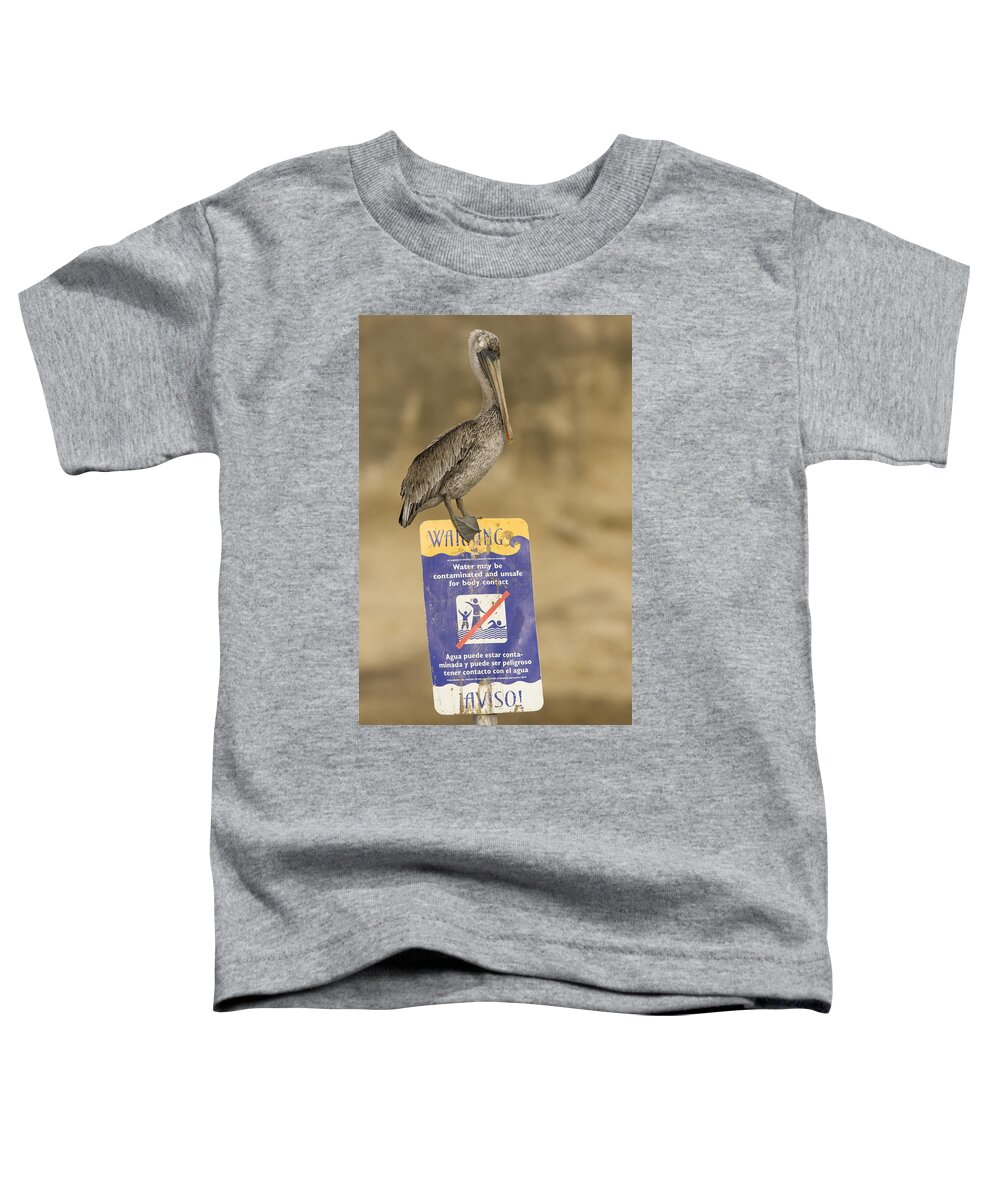 00429766 Toddler T-Shirt featuring the photograph Brown Pelican On Contaminated Water by Sebastian Kennerknecht