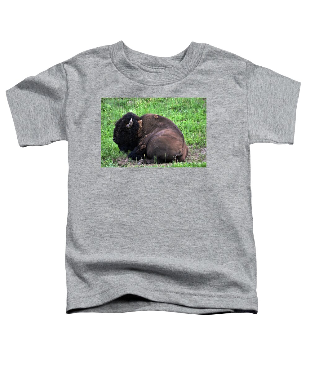 Buffalo Toddler T-Shirt featuring the photograph Buffalo Bill by La Dolce Vita