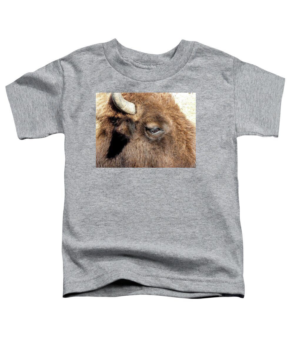 Buffalo Toddler T-Shirt featuring the photograph Buffalo by Kim Galluzzo