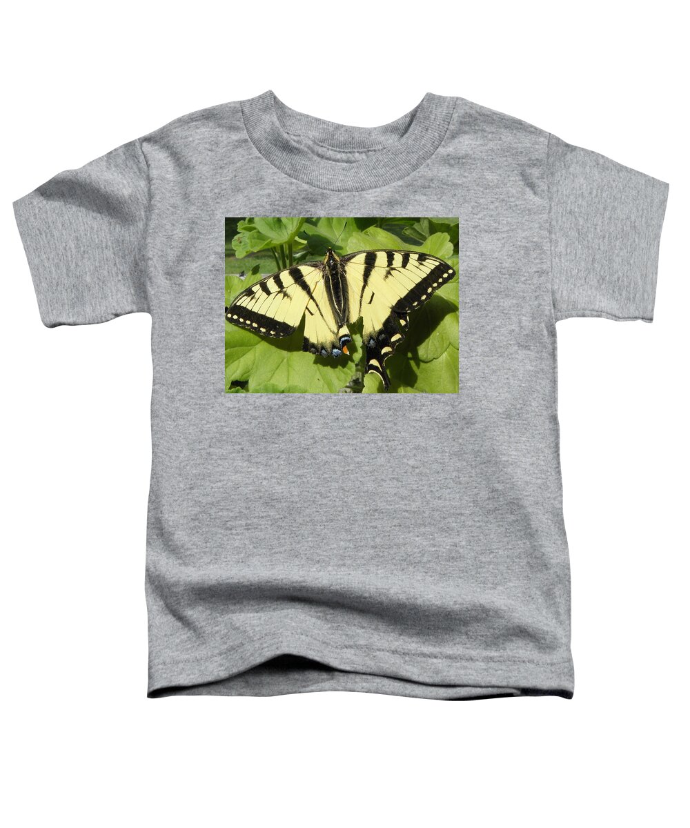 Butterfly Toddler T-Shirt featuring the photograph Butterfly that got away by Kim Galluzzo