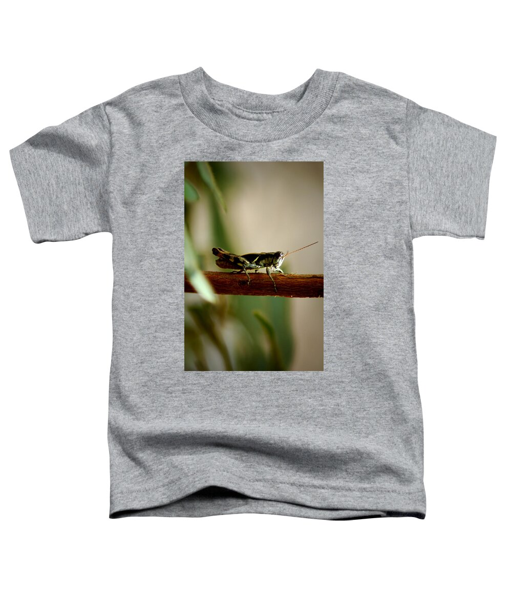 Grasshopper Toddler T-Shirt featuring the photograph Crossing The Ravine by David Weeks