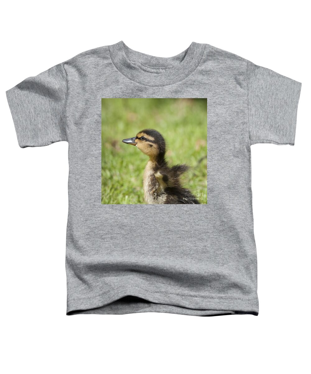Anas Toddler T-Shirt featuring the photograph Cute little duckling by Andrew Michael