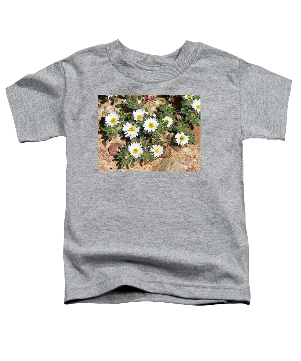 Mojave Desert Wildflower Toddler T-Shirt featuring the photograph Desert Star by Michele Penner