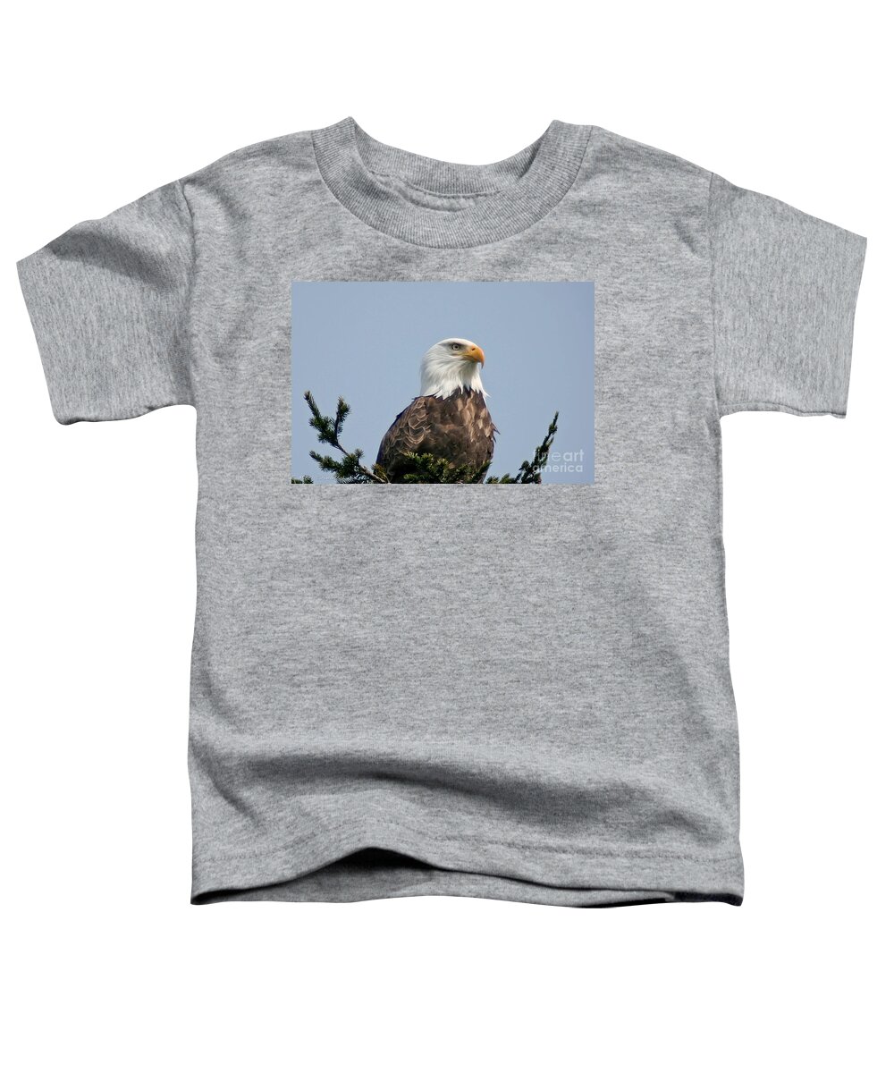 Eagle.bird Toddler T-Shirt featuring the photograph Eagle by Mitch Shindelbower