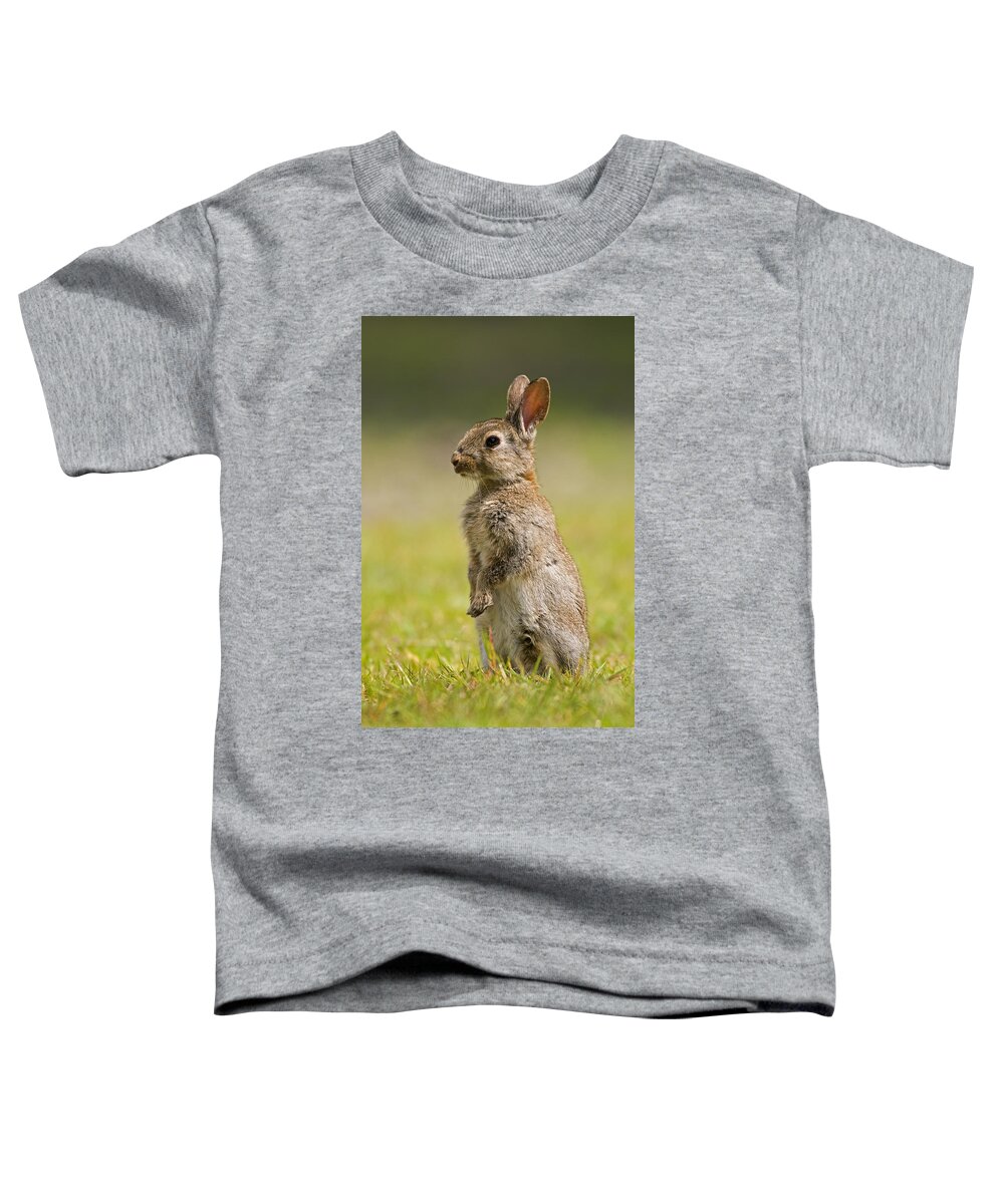 Fn Toddler T-Shirt featuring the photograph European Rabbit Oryctolagus Cuniculus by Marcel van Kammen