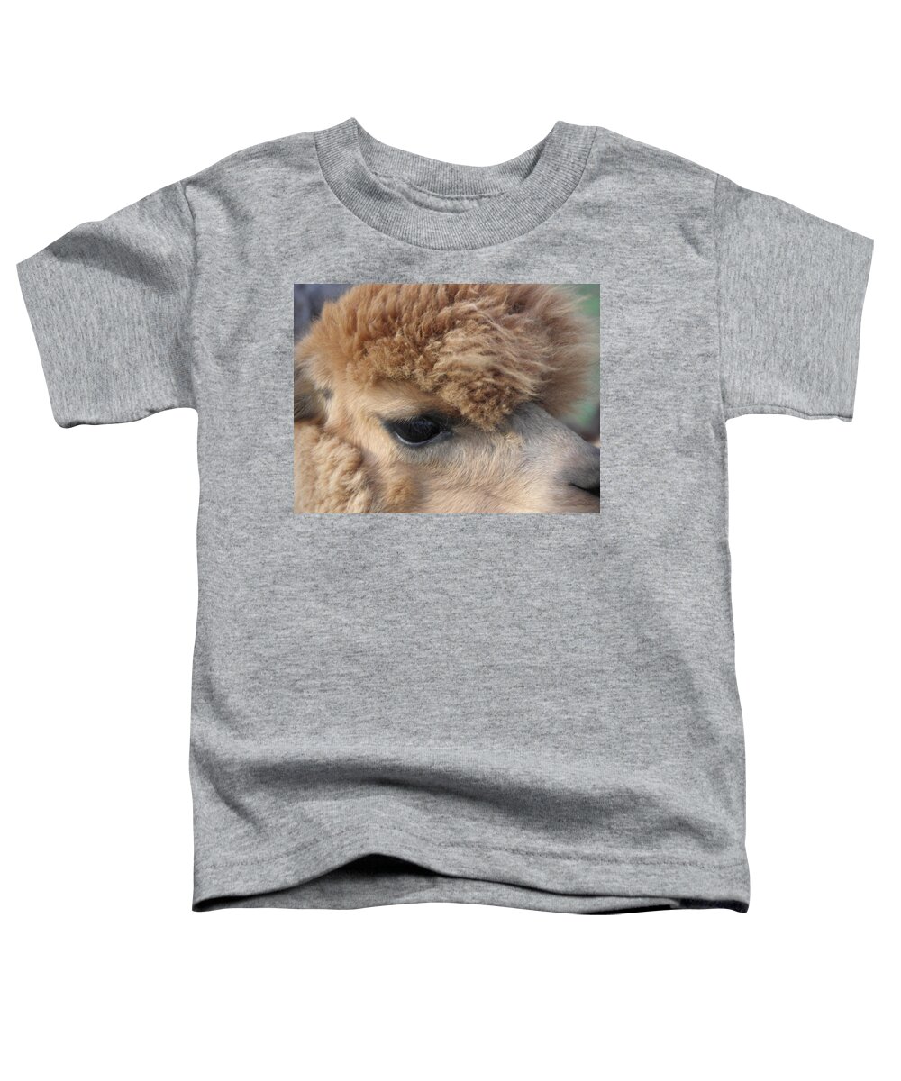 Alpaca Toddler T-Shirt featuring the photograph Fluffy by Kim Galluzzo