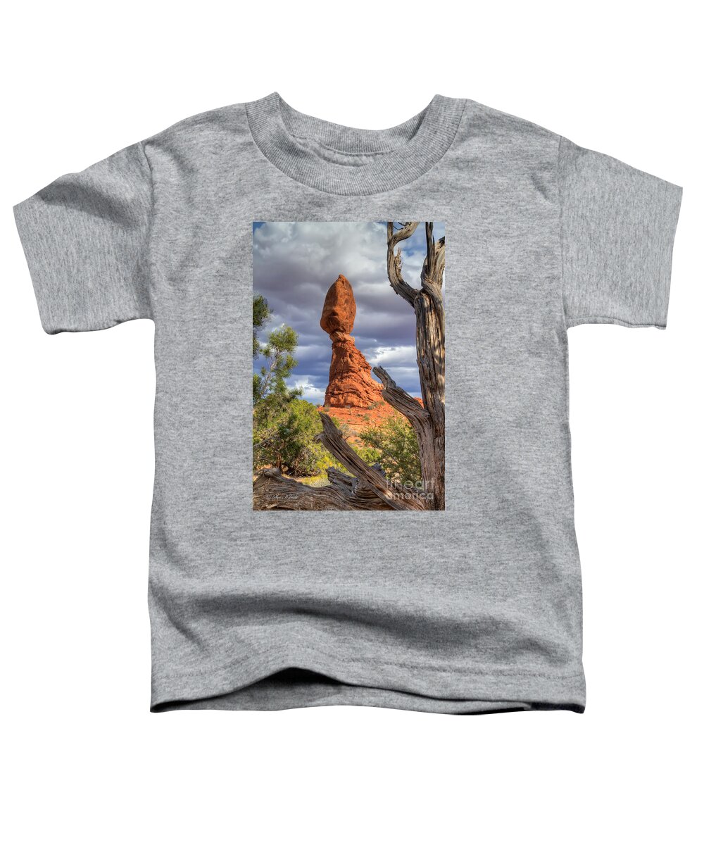 Arches National Park Toddler T-Shirt featuring the photograph Framed Balance Rock by Sue Karski