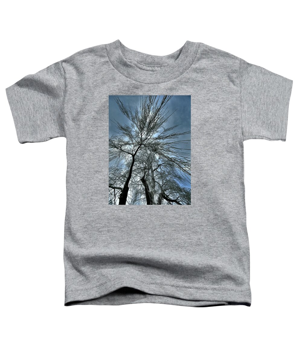 North America Toddler T-Shirt featuring the photograph Freezing Rain ... #2 by Juergen Weiss