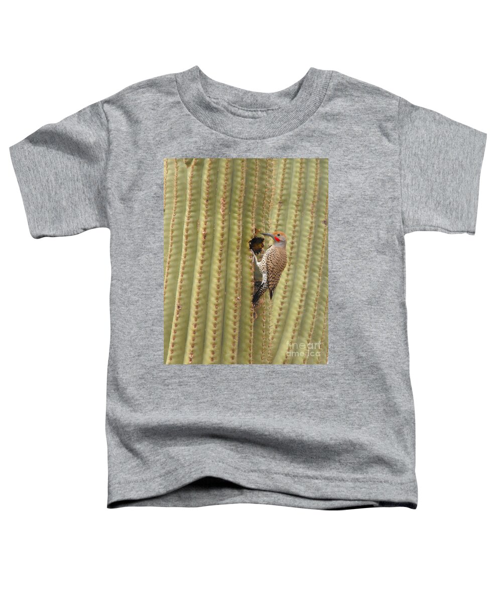 Cactus Art Toddler T-Shirt featuring the photograph Gilded Flicker by Rebecca Margraf
