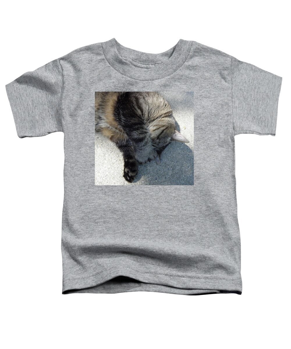 Cat Toddler T-Shirt featuring the photograph Go Away by Kim Galluzzo Wozniak
