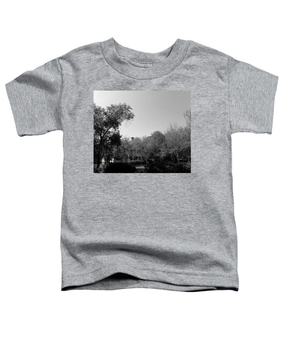 Historical Toddler T-Shirt featuring the photograph Historical 1800s home in Corolla NC by Kim Galluzzo
