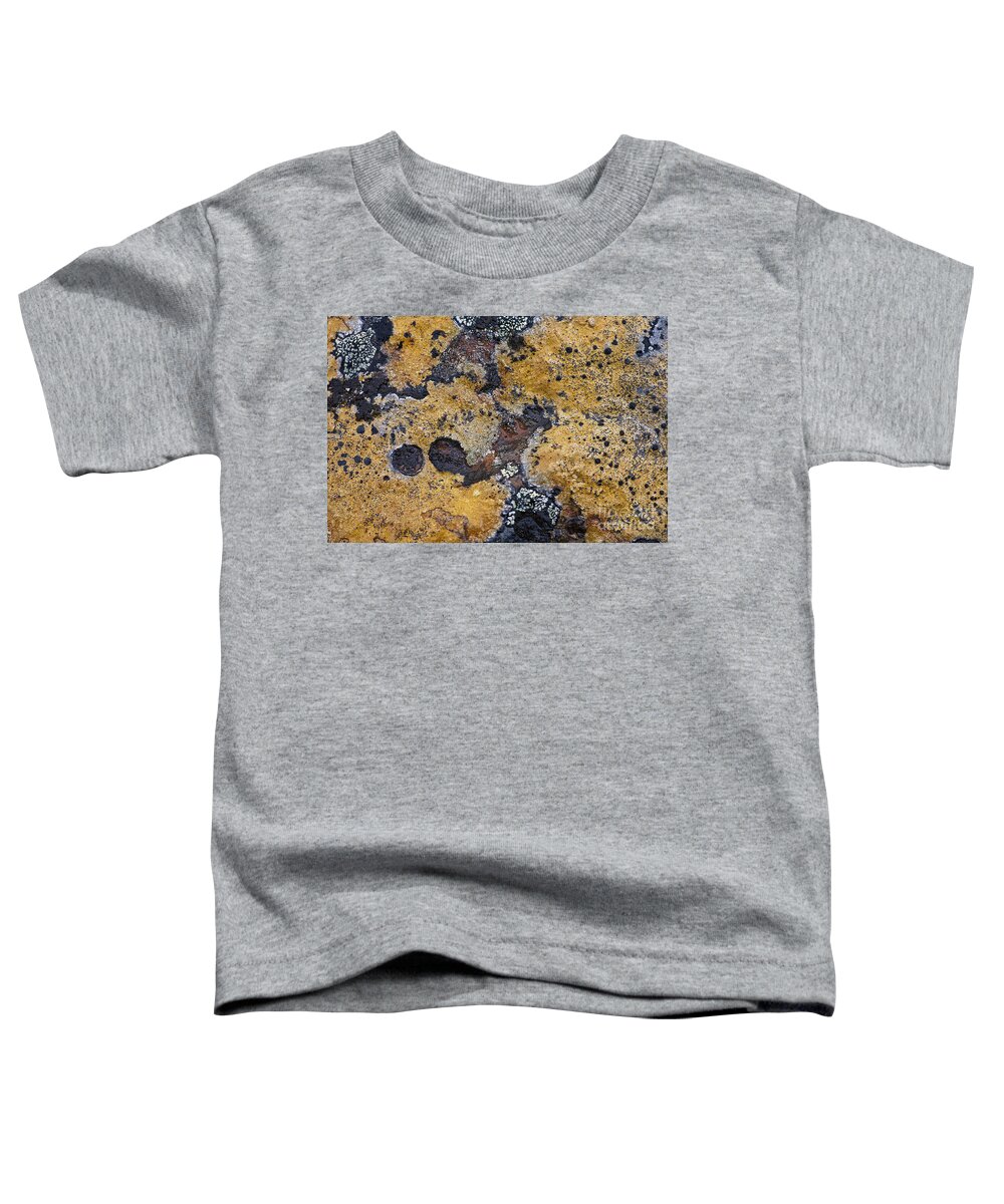 Lichen Toddler T-Shirt featuring the photograph Lichen Pattern Series - 10 by Heiko Koehrer-Wagner