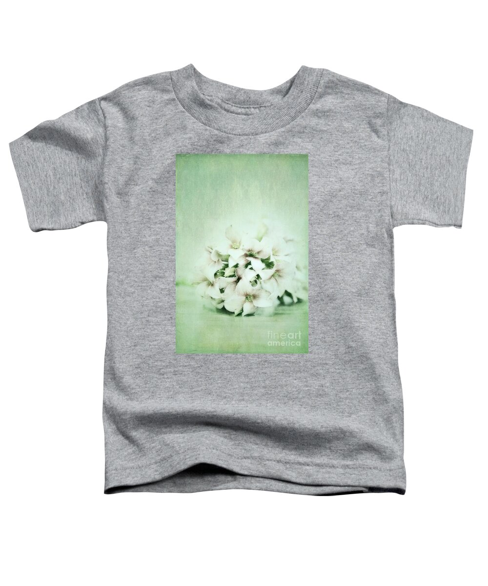 Kalanchoe Toddler T-Shirt featuring the photograph Mint Green by Priska Wettstein