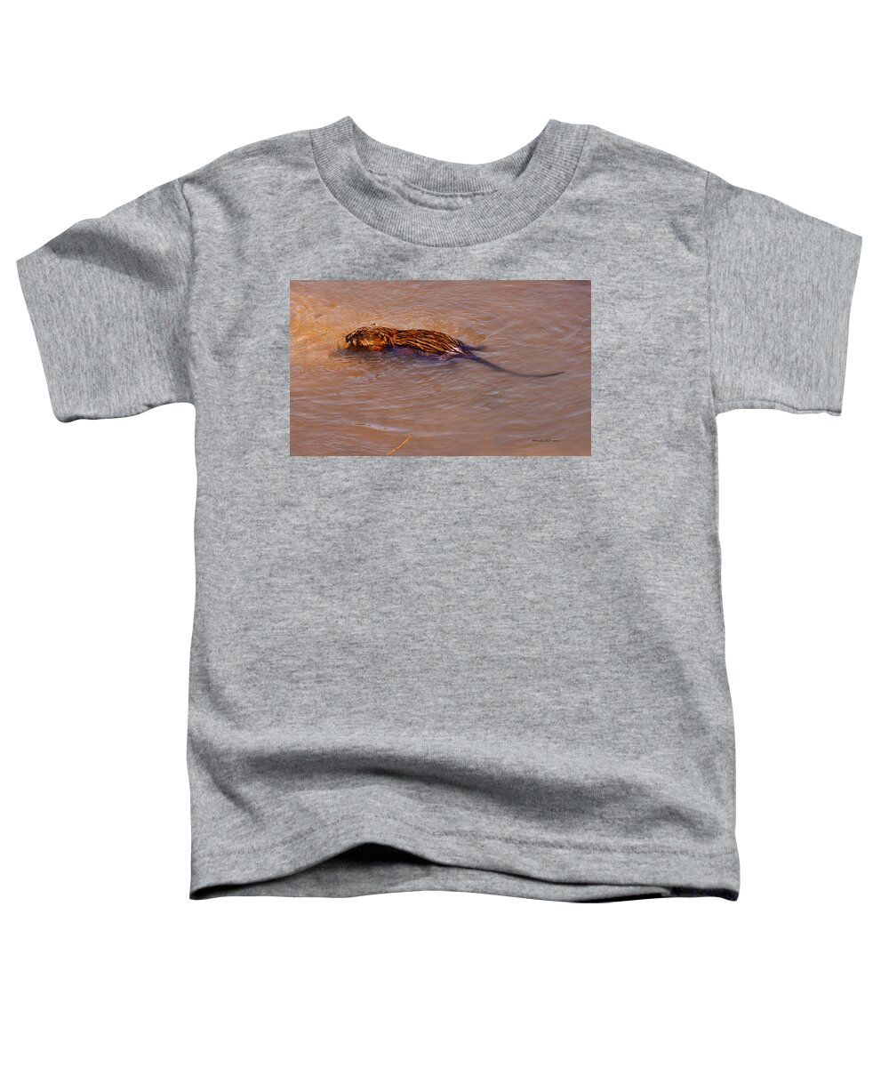 Heron Heaven Toddler T-Shirt featuring the photograph Muskrat Swiming by Ed Peterson