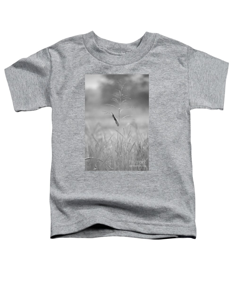 One Toddler T-Shirt featuring the photograph One Tall Blade of Grass on a Foggy Morn - BW by Maria Urso