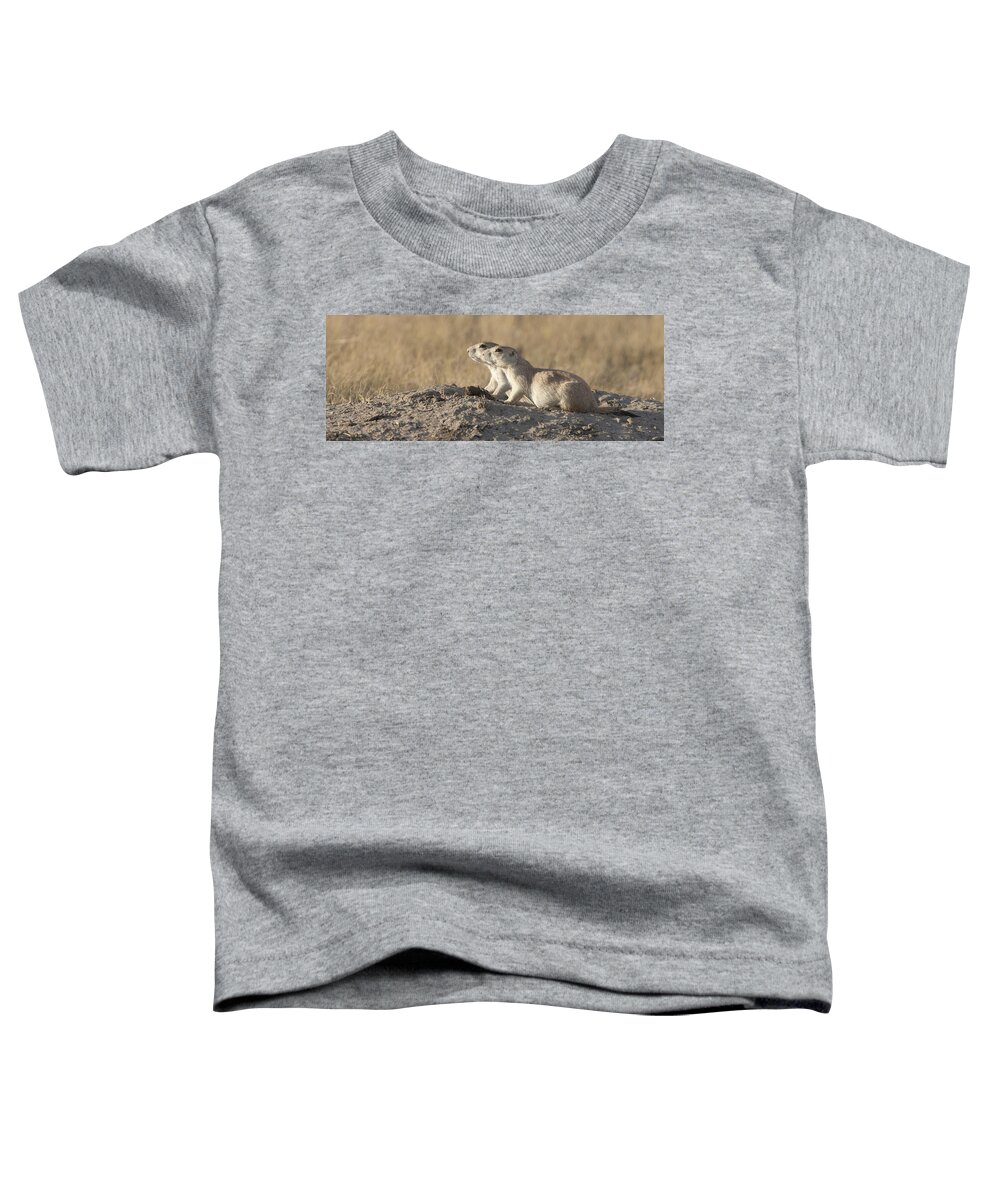 00478292 Toddler T-Shirt featuring the photograph Prairie Dog Pair Grasslands NP by Matthias Breiter