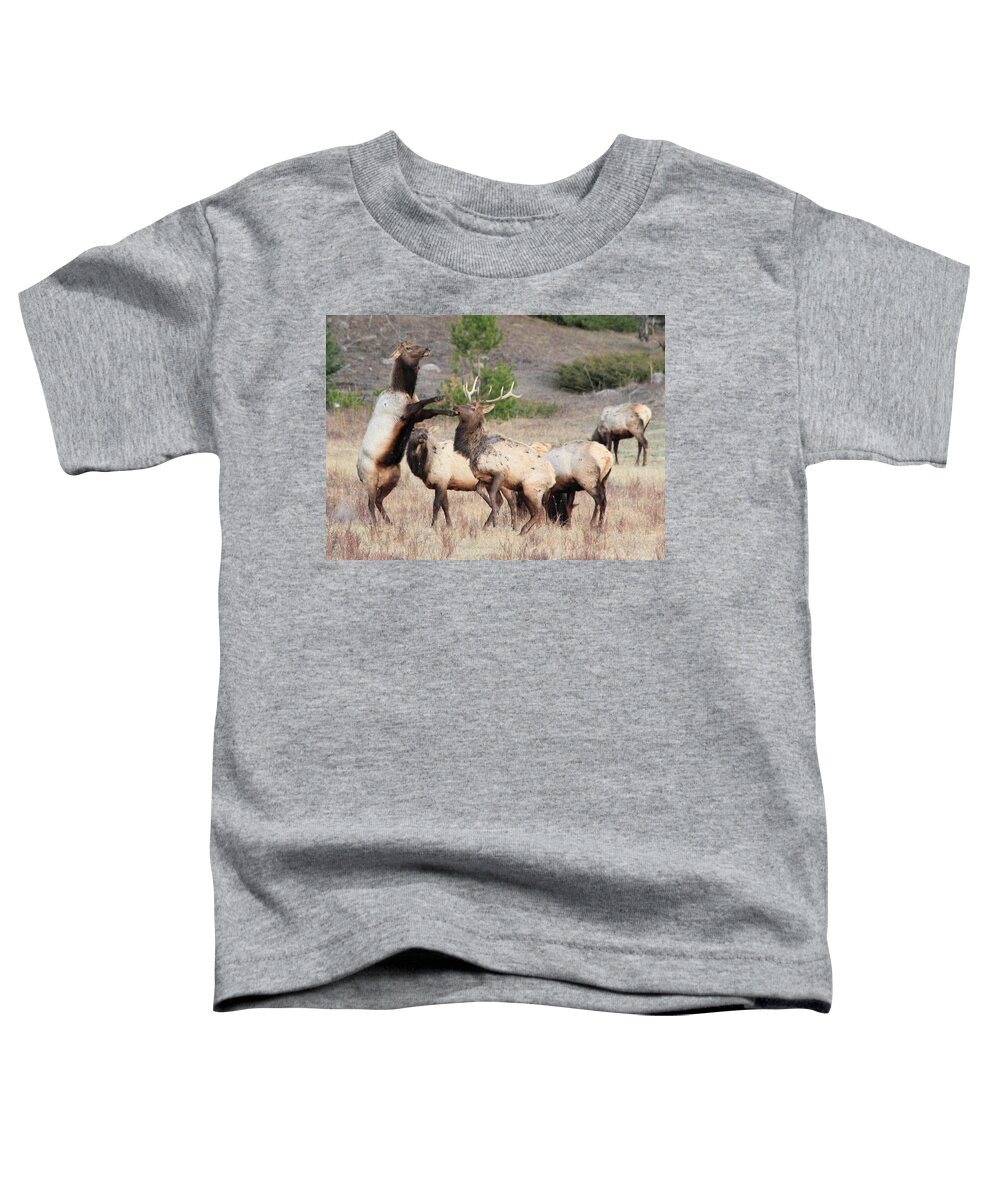 Elk Toddler T-Shirt featuring the photograph Put Up Your Dukes by Shane Bechler