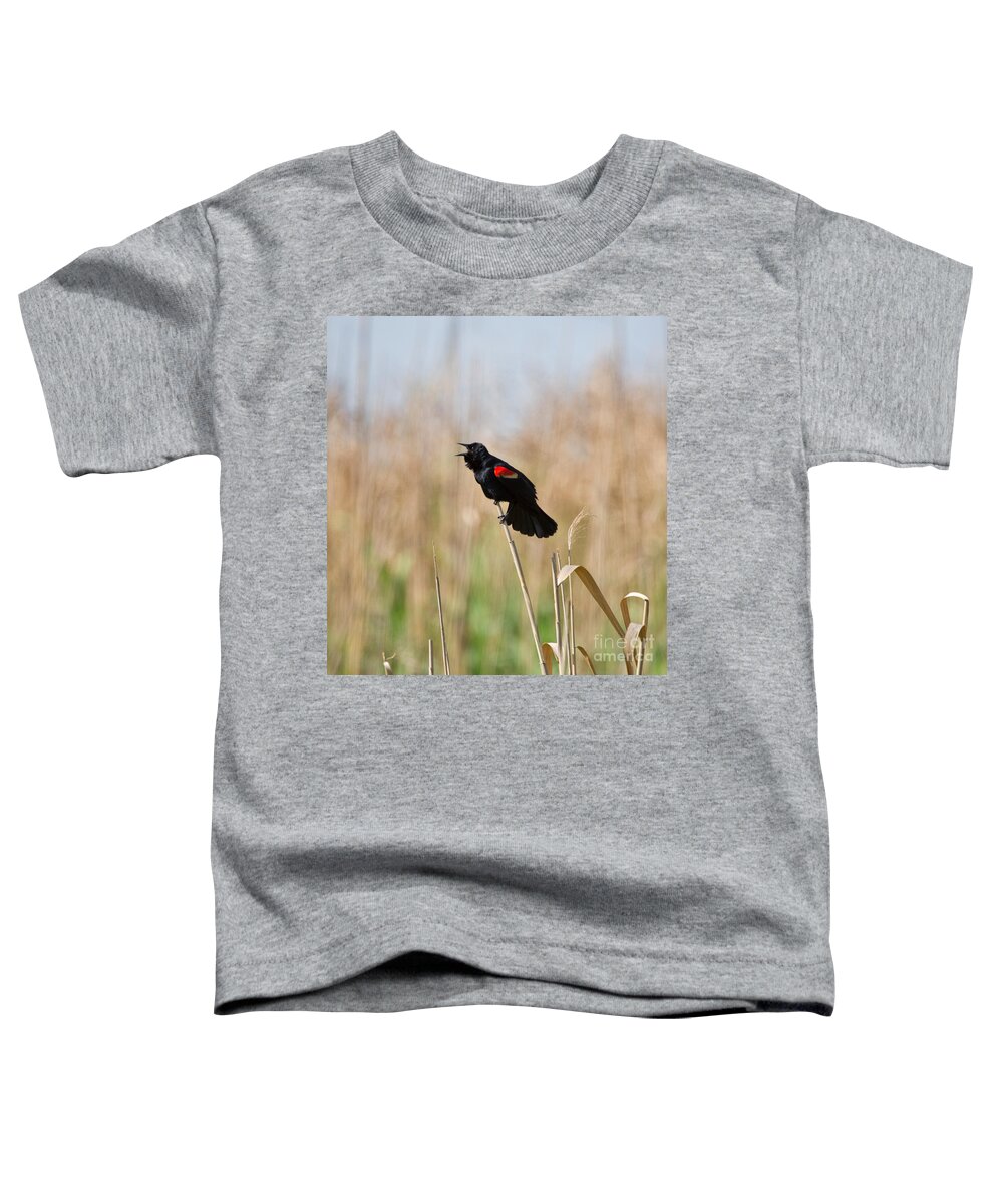 Red Winged Blackbird Toddler T-Shirt featuring the photograph Red-winged Blackbird by Louise Heusinkveld