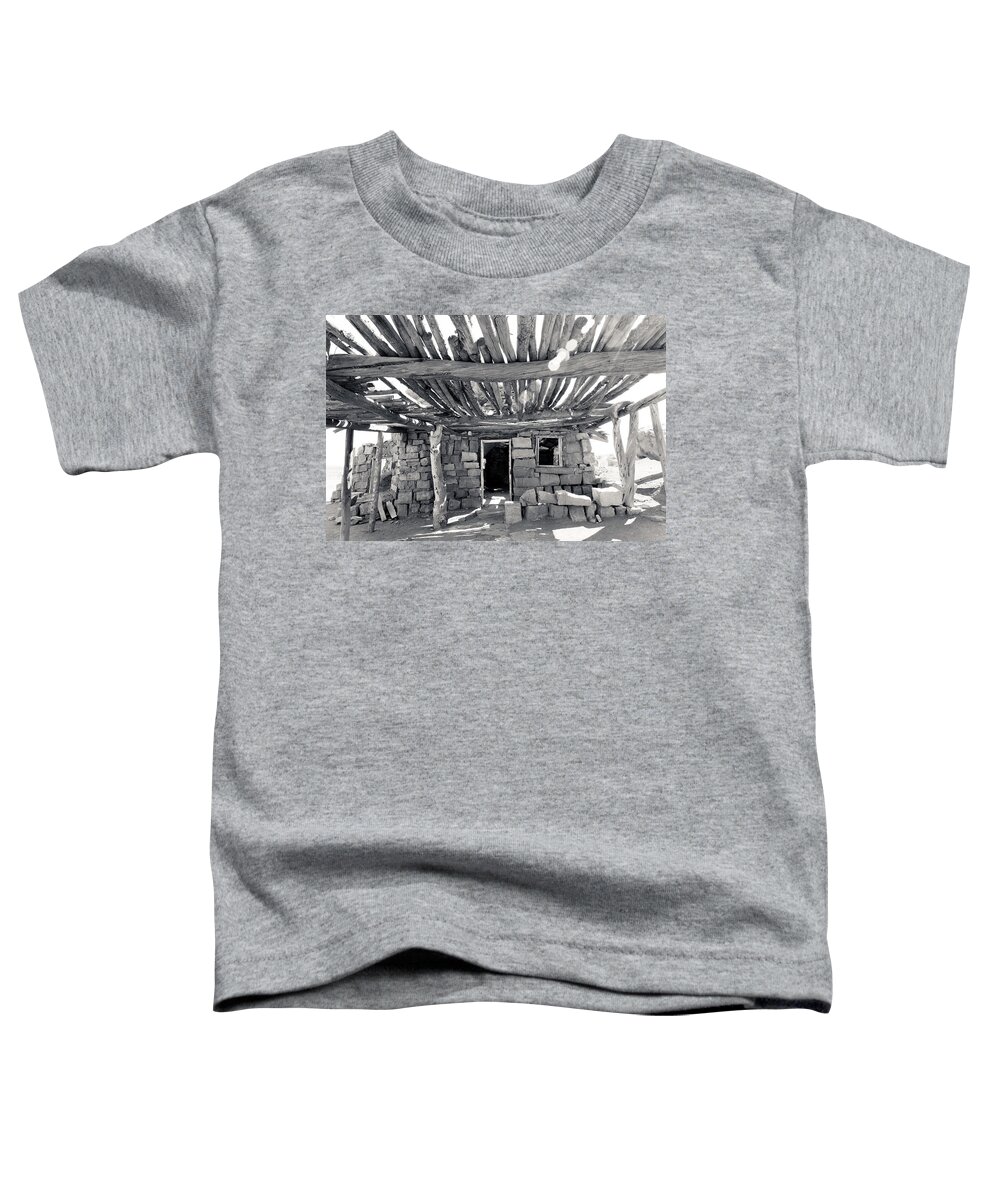 Cliff Dwellers Toddler T-Shirt featuring the photograph Russell Homestead Front by Julie Niemela