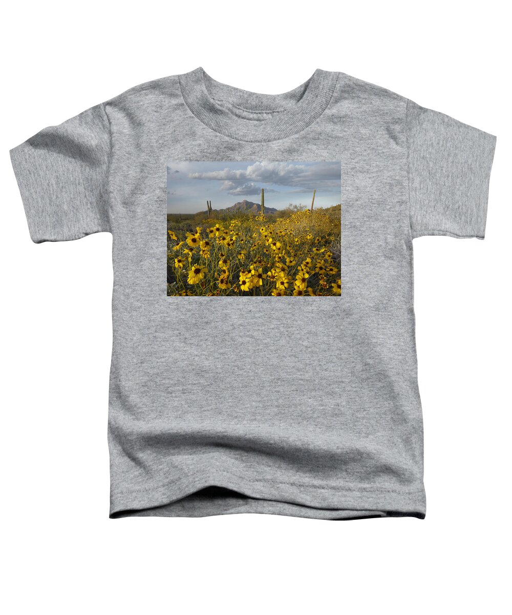 00443057 Toddler T-Shirt featuring the photograph Saguaro Cacti And Brittlebush by Tim Fitzharris