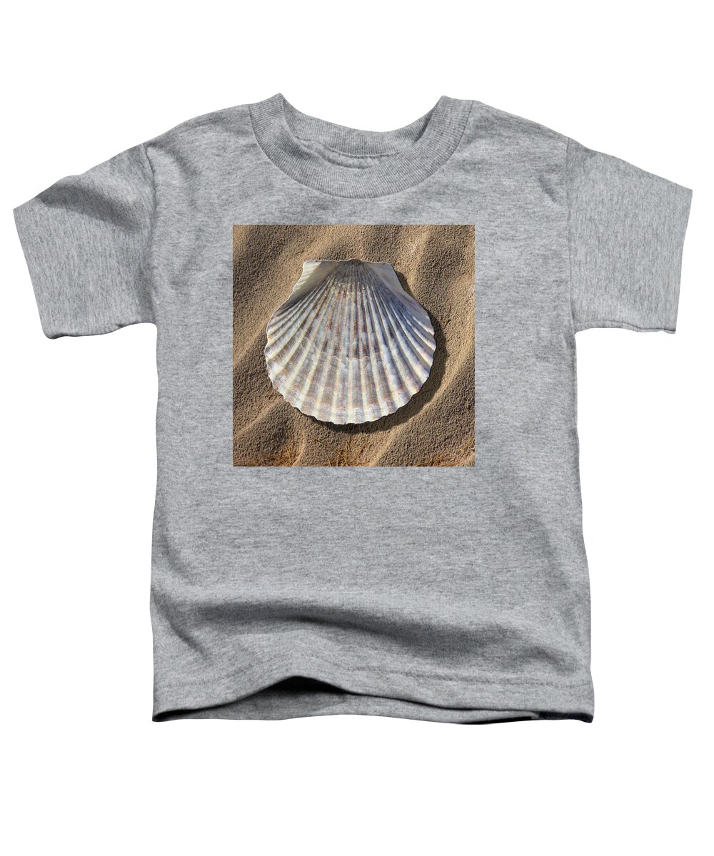 Sea Shell Toddler T-Shirt featuring the photograph Sea Shell 2 by Mike McGlothlen