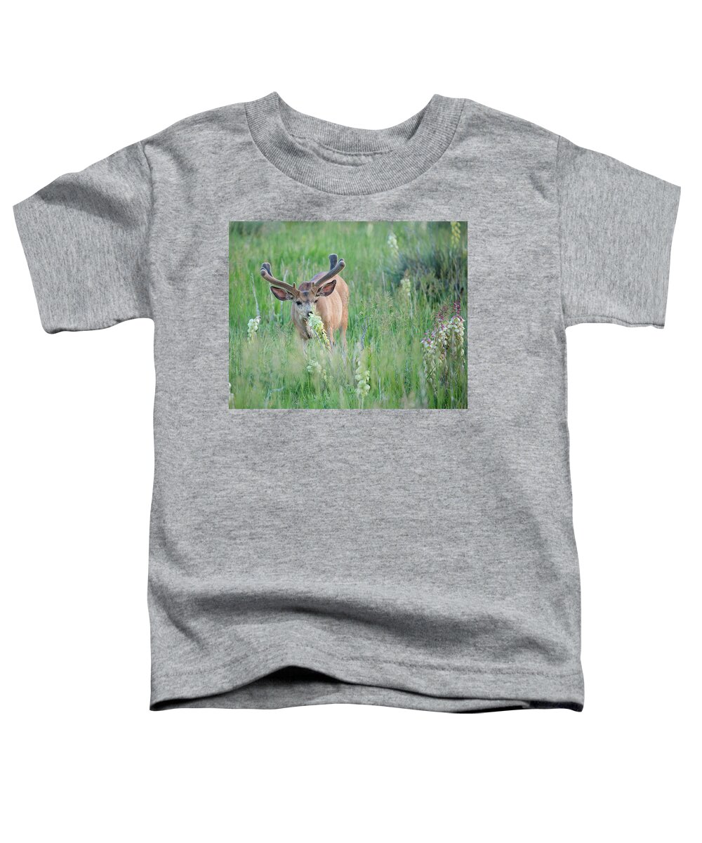 Deer Photograph Toddler T-Shirt featuring the photograph Smell the Flowers by Jim Garrison
