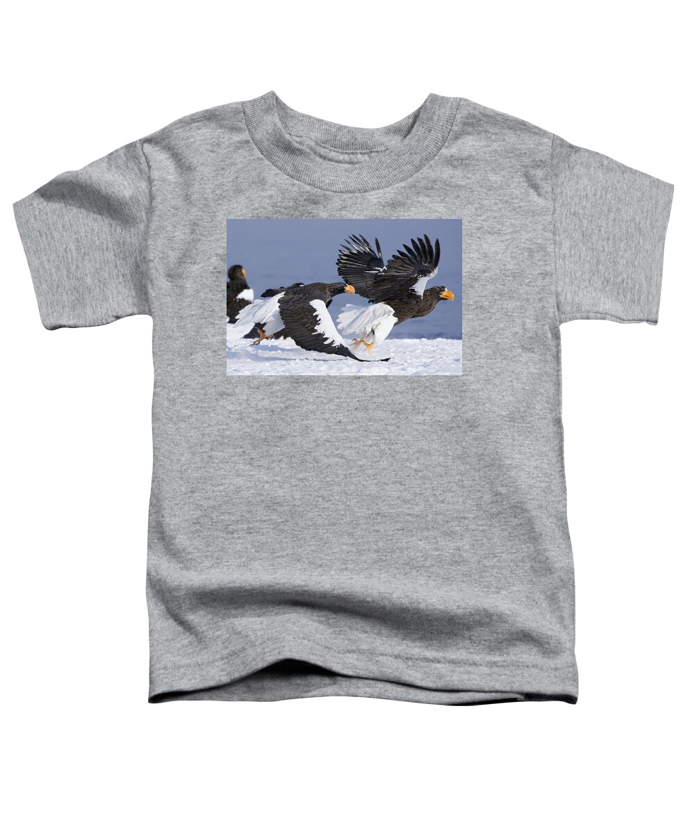 00782260 Toddler T-Shirt featuring the photograph Stellers Sea Eagle Chase by Sergey Gorshkov