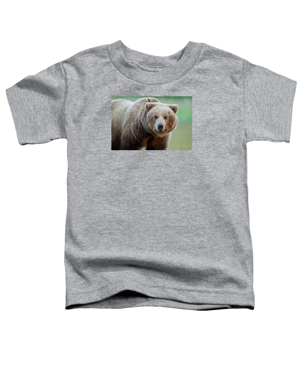 Alaska Toddler T-Shirt featuring the photograph The Look by D Robert Franz