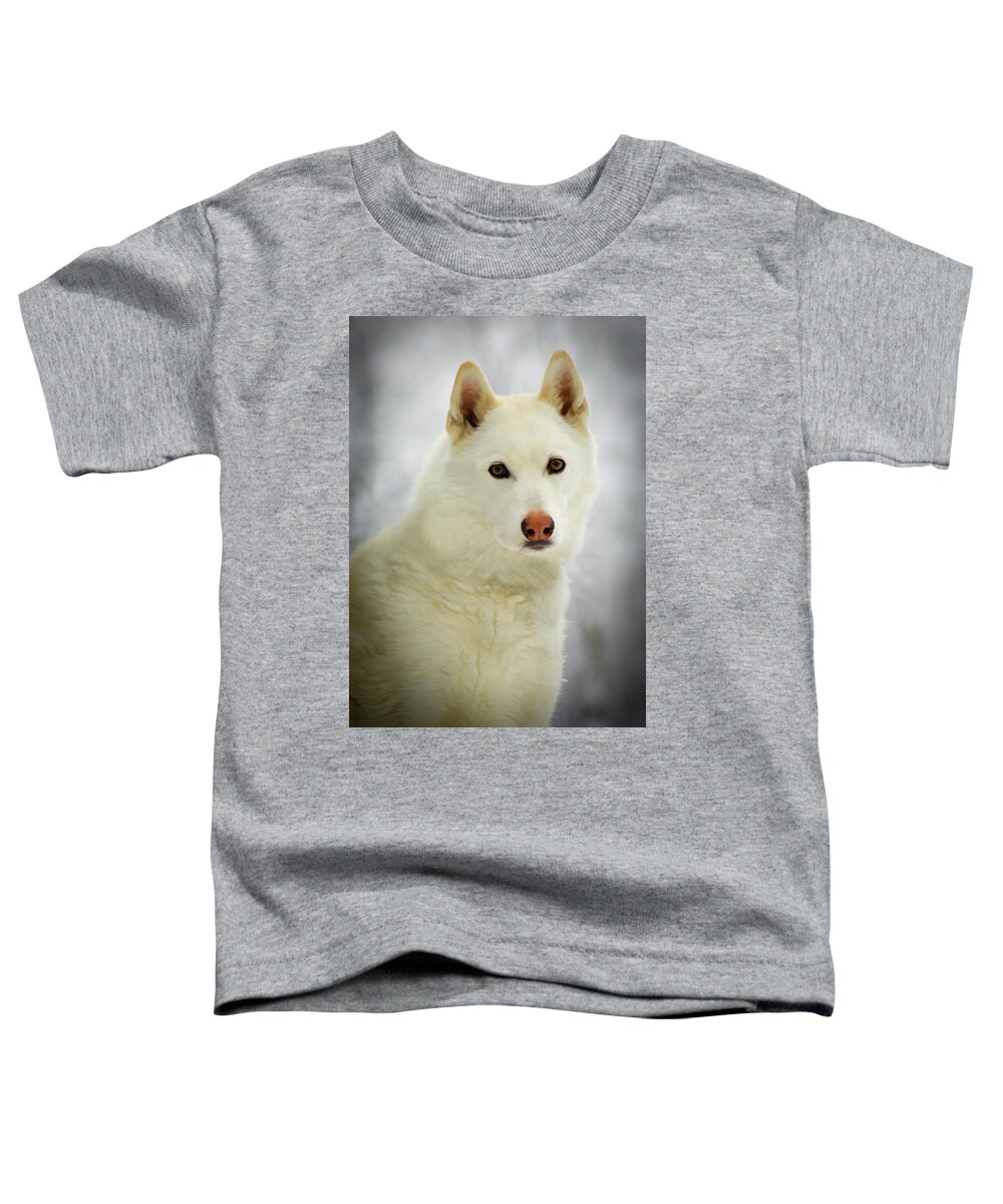 Husky Toddler T-Shirt featuring the photograph The Stare by Joye Ardyn Durham