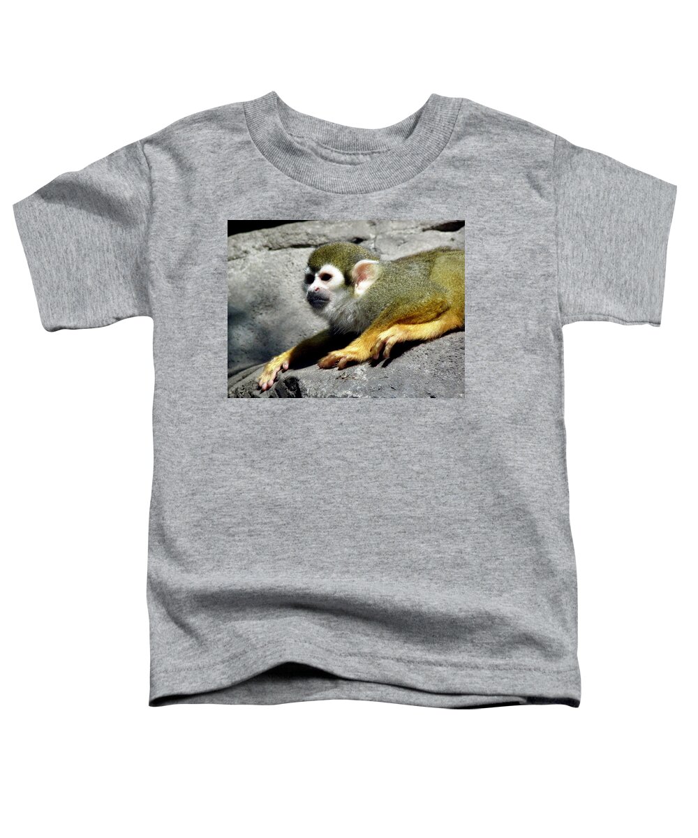 Monkey Toddler T-Shirt featuring the photograph Watching Over by Kim Galluzzo Wozniak