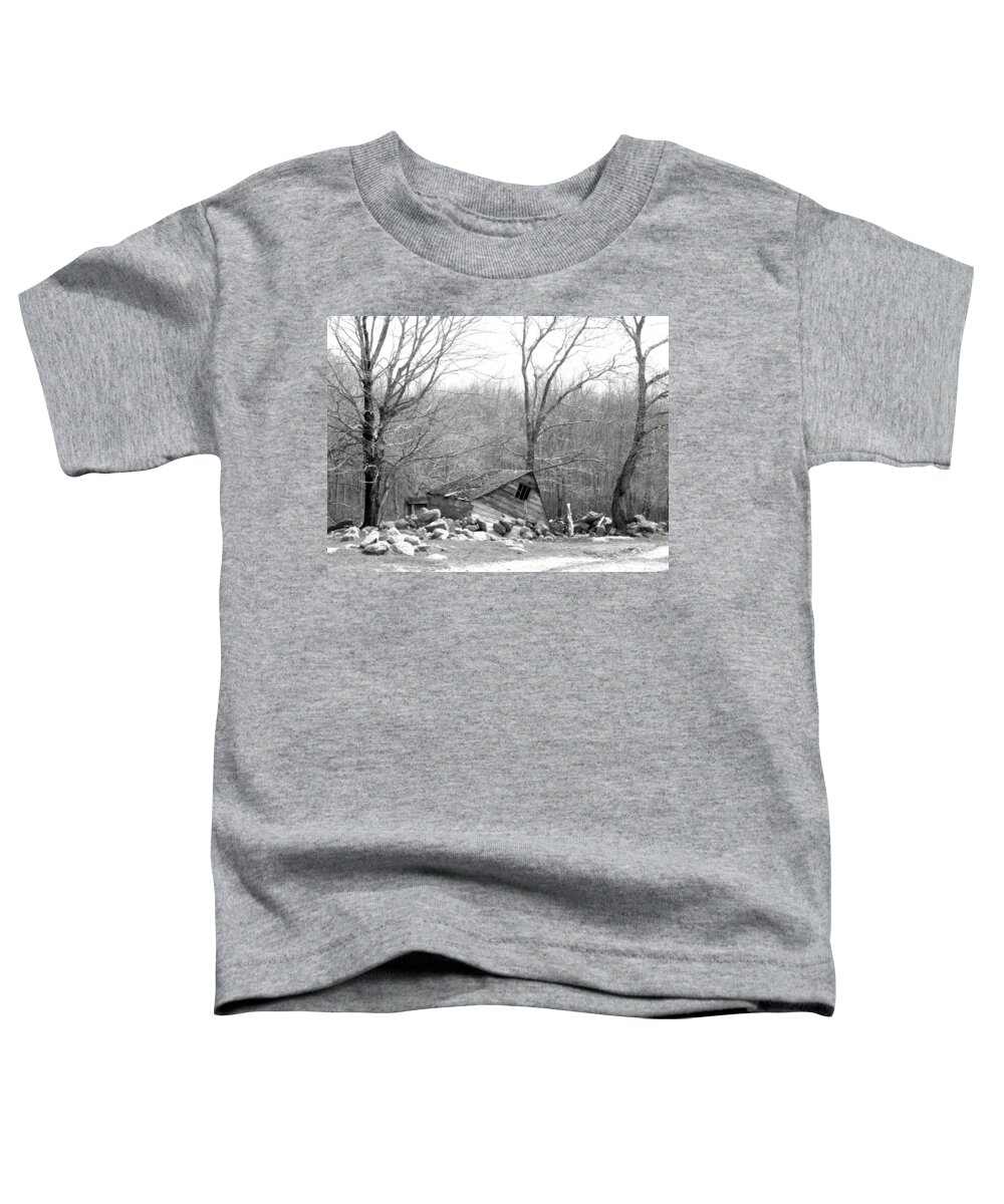 History Toddler T-Shirt featuring the photograph What Once Was by Kim Galluzzo