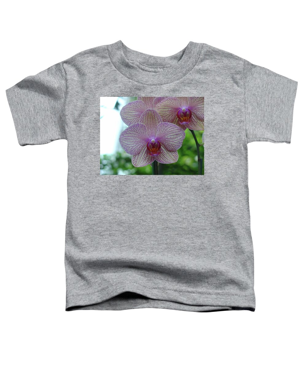 Orchid Toddler T-Shirt featuring the photograph White and Pink Orchid by Charles and Melisa Morrison