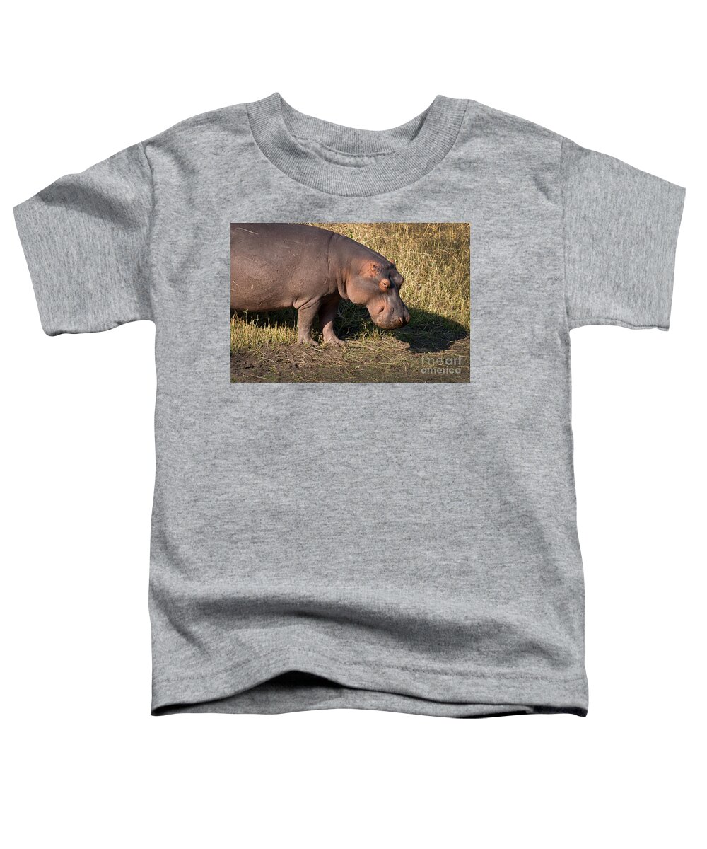 Africa Toddler T-Shirt featuring the photograph Wild Hippopotamus by Karen Lee Ensley
