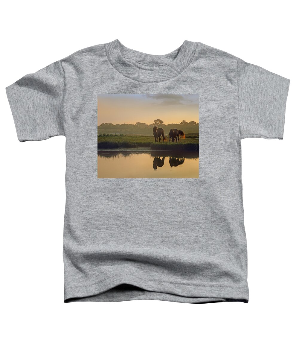 00176991 Toddler T-Shirt featuring the photograph Wild Horse Pair Grazing At Assateague by Tim Fitzharris