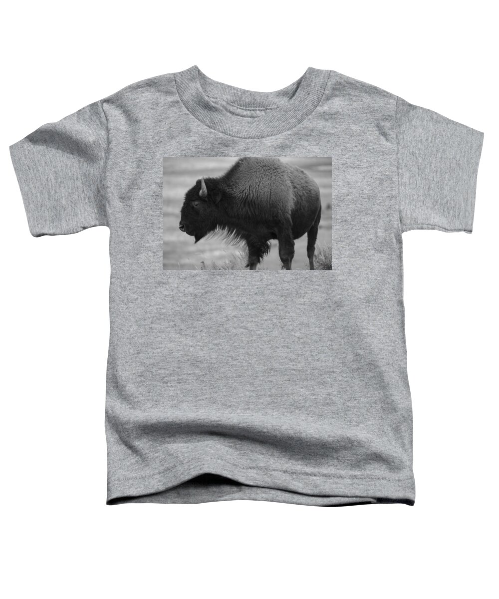 Baeuty In Beasts- Yellowstone Images- Yellowstone Wildlife- Bison In Ynp - Black And White Imagery- Prayers And Abundance- Sacred Animals. Toddler T-Shirt featuring the photograph The Beauty of Yellowstone by Rae Ann M Garrett