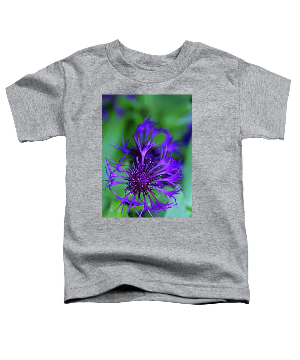 Cornflower Toddler T-Shirt featuring the photograph Bachelor's Button #2 by Debbie Oppermann
