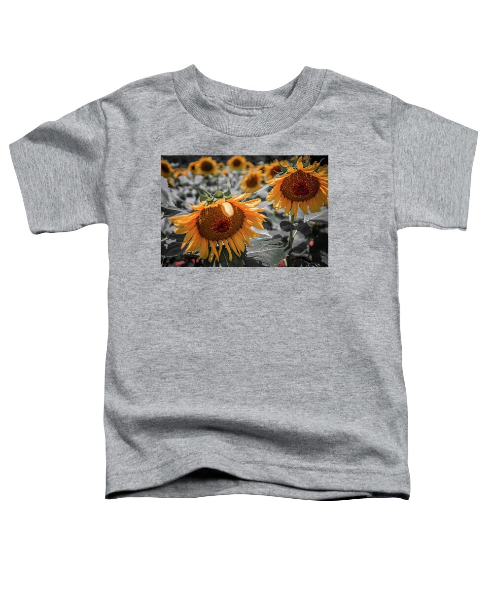 Sun Toddler T-Shirt featuring the photograph Beautiful Sunflower Field In South Carolina #1 by Alex Grichenko