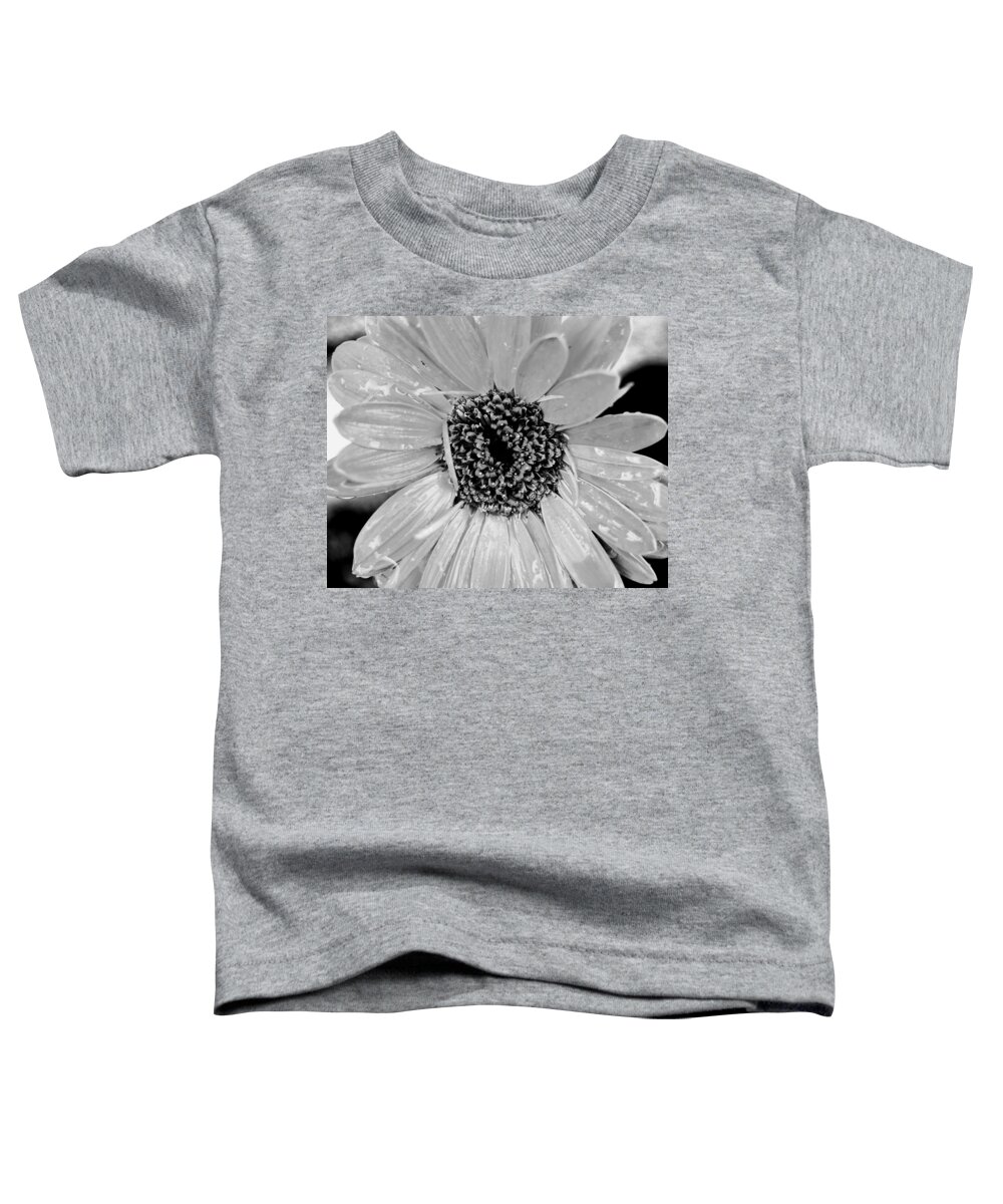 Gerber Daisy Toddler T-Shirt featuring the photograph Black and White Gerbera Daisy by Amy Fose