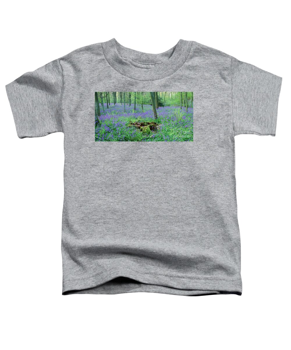 Bluebell Toddler T-Shirt featuring the photograph Bluebell woods panorama #1 by Warren Photographic