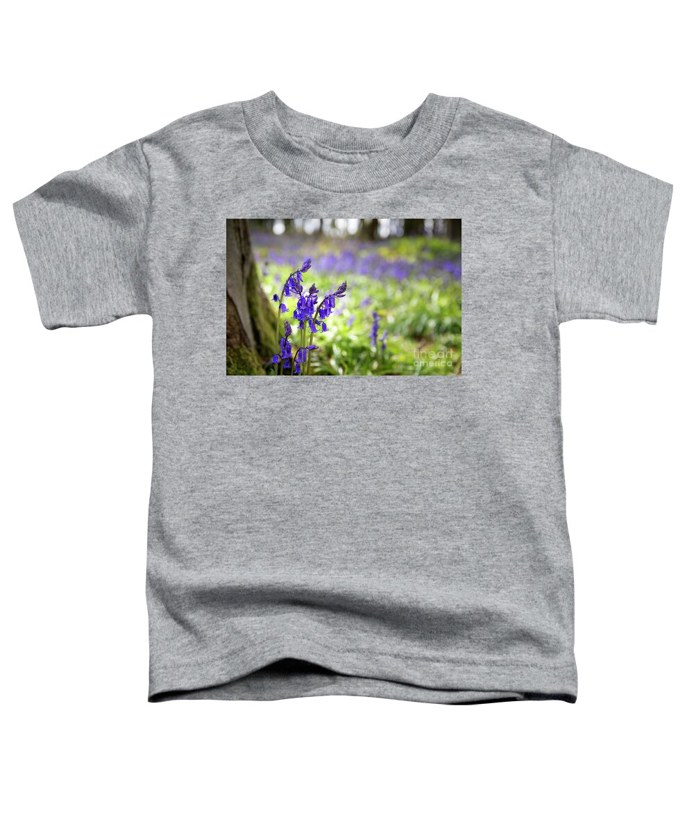 Spring Toddler T-Shirt featuring the photograph Bluebells #1 by Jane Rix