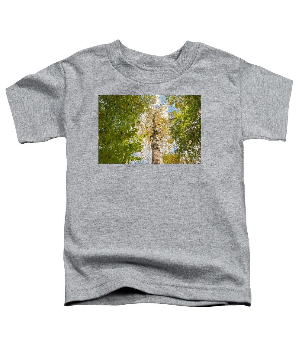Fall Foliage Toddler T-Shirt featuring the photograph Branching Out #1 by Michael Ver Sprill