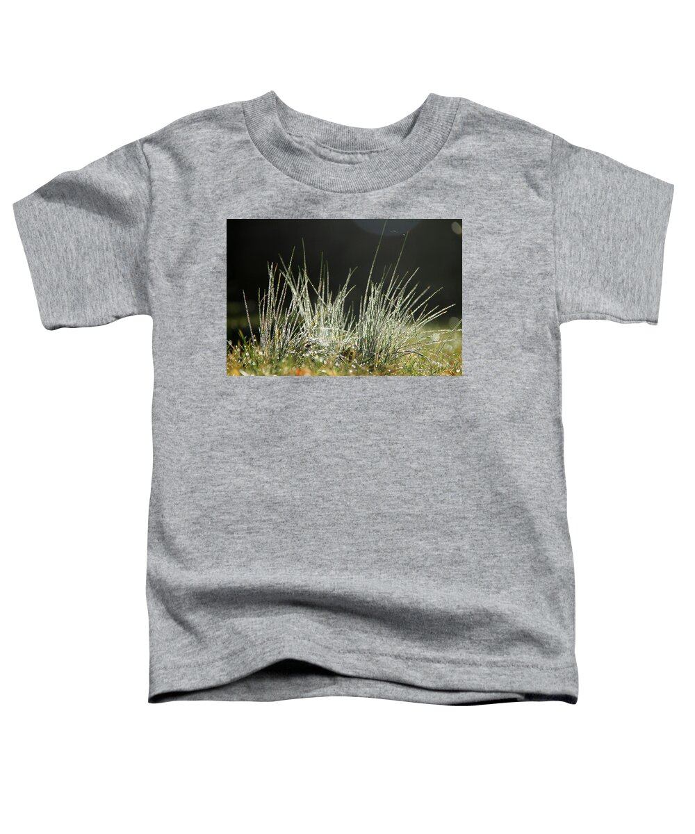 Grass Toddler T-Shirt featuring the photograph Close-up of dew on grass, in a sunny, humid autumn morning #1 by Emanuel Tanjala