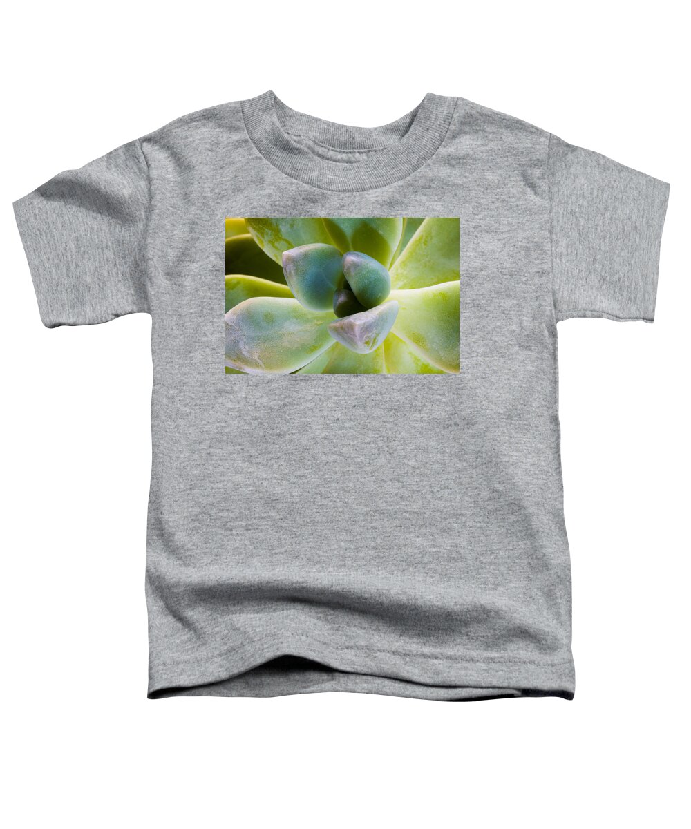 Beautiful Toddler T-Shirt featuring the photograph Blue Pearl Plant #1 by Raul Rodriguez