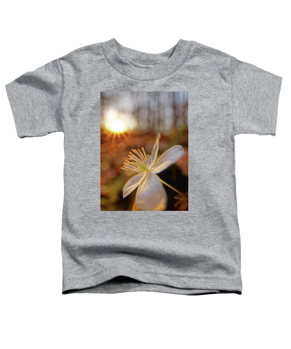 Flower Toddler T-Shirt featuring the photograph False Rue Anemone #1 by Robert Charity