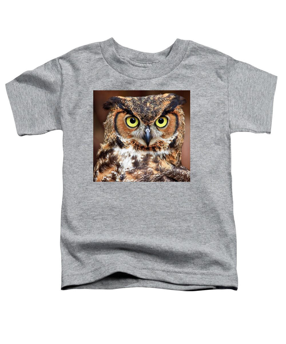 Great Horned Owls Toddler T-Shirt featuring the photograph Great Horned Owl Head #2 by Jill Lang